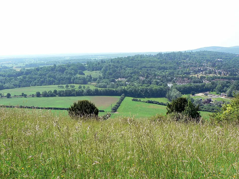 Surrey
