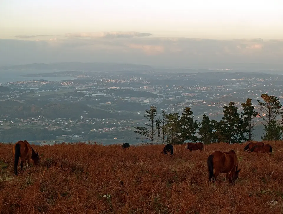 Monte Xalo