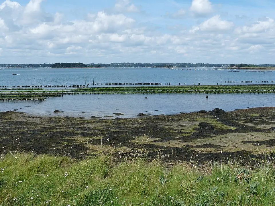 Île d'Arz