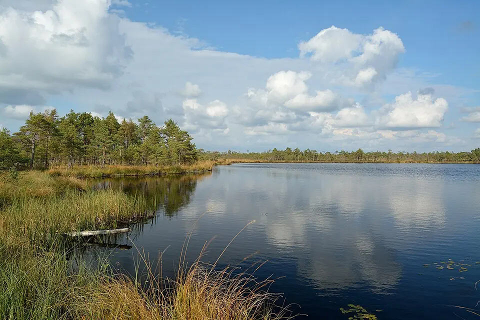 Kõpu