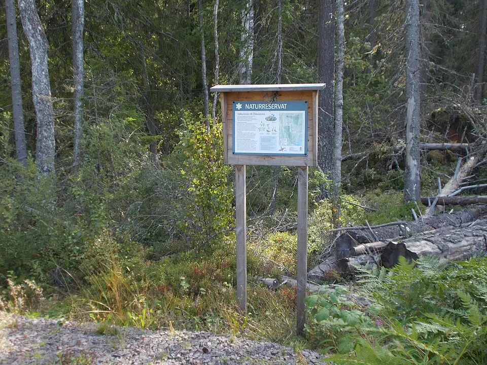 Ödesdovra