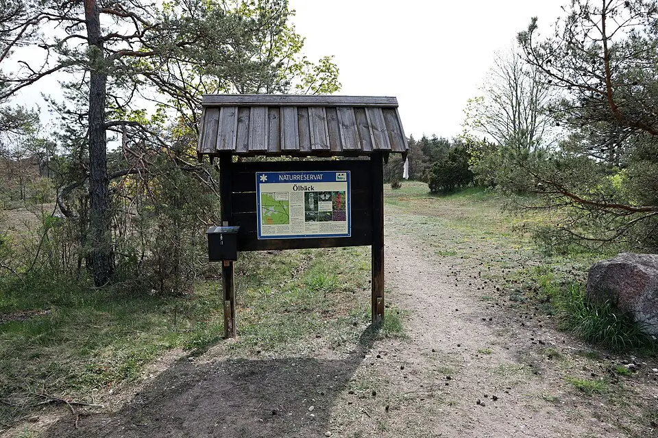 Ölbäck