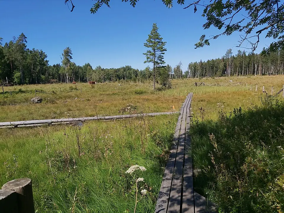 Örbackens kalkkärr