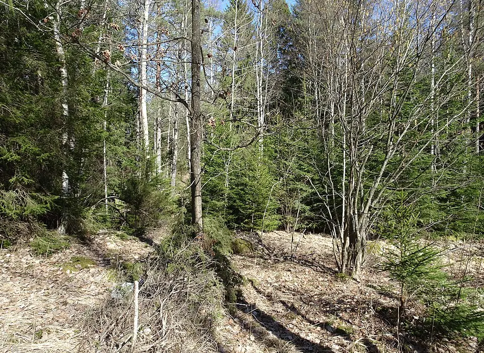 Österby