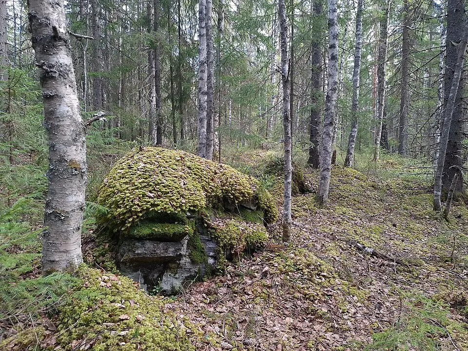 Österåsenskogens naturreservat
