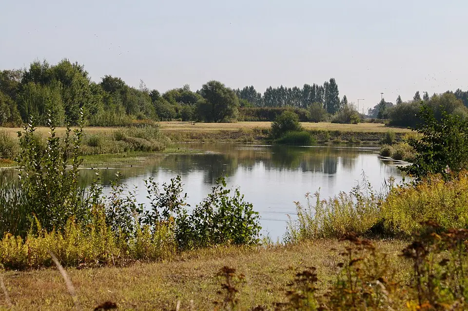 Östra dammarna