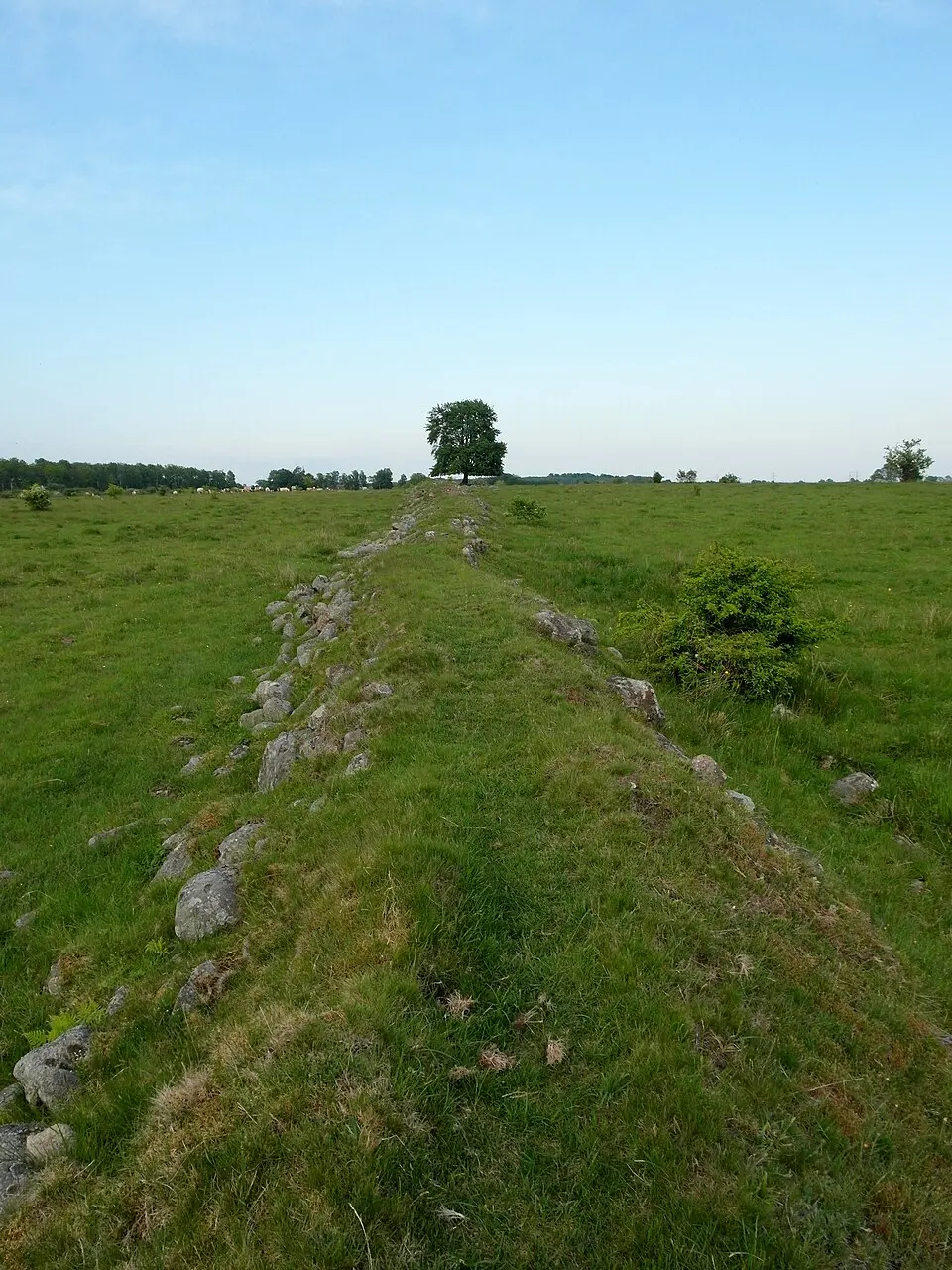 Kungsmarken