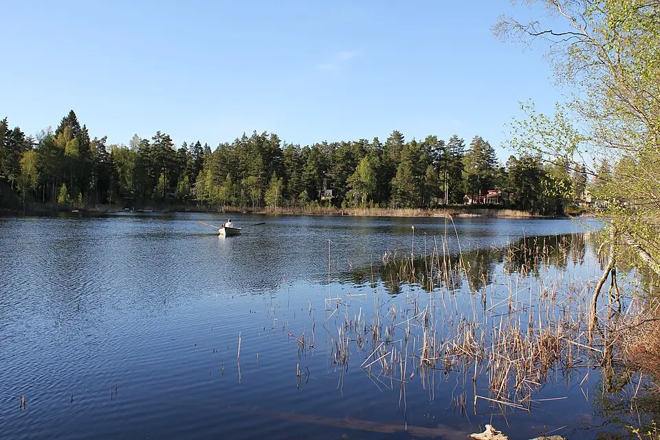 Vinterskogens naturreservat