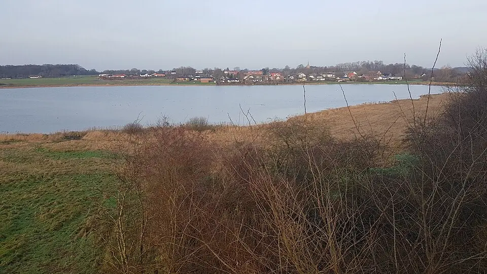 Ødis