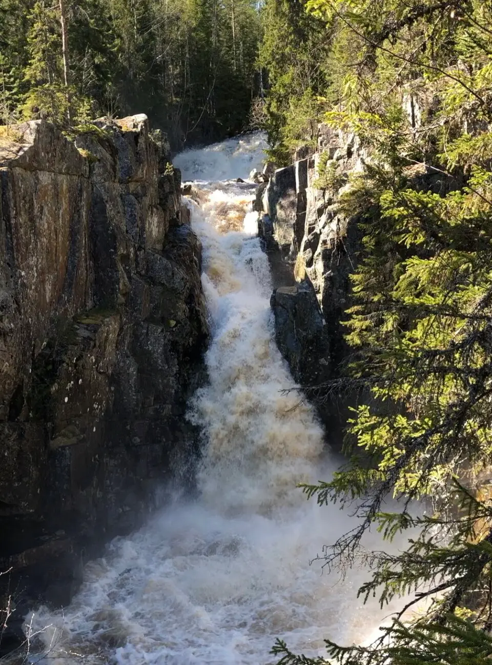 Øksnafallene
