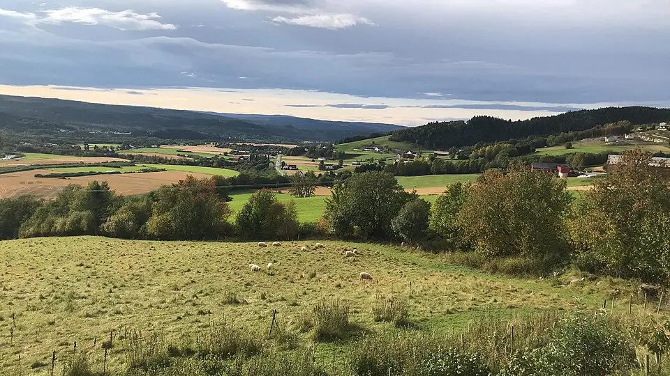 Selbu