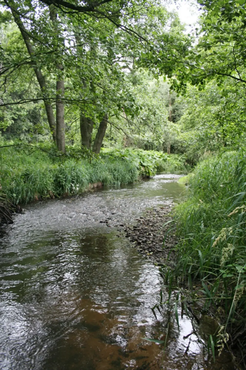 Úterský potok