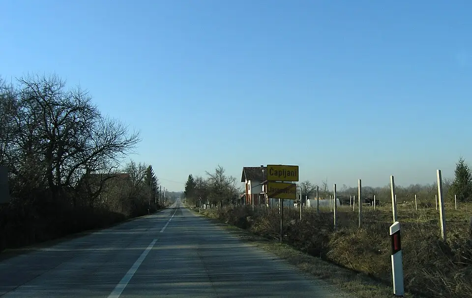 Čapljani