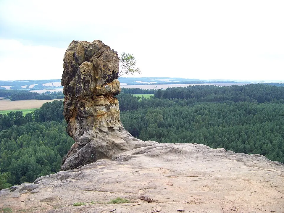 Bild: ŠJů (cs:ŠJů) · CC BY-SA 3.0 Čap