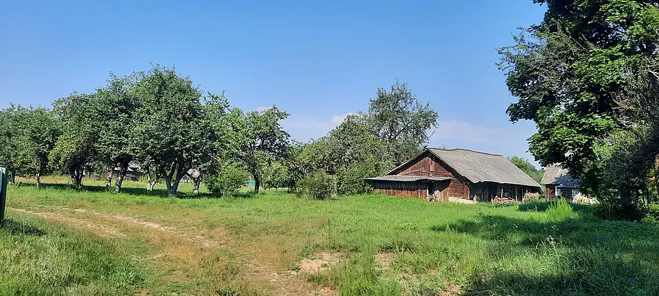 Čaraŭki