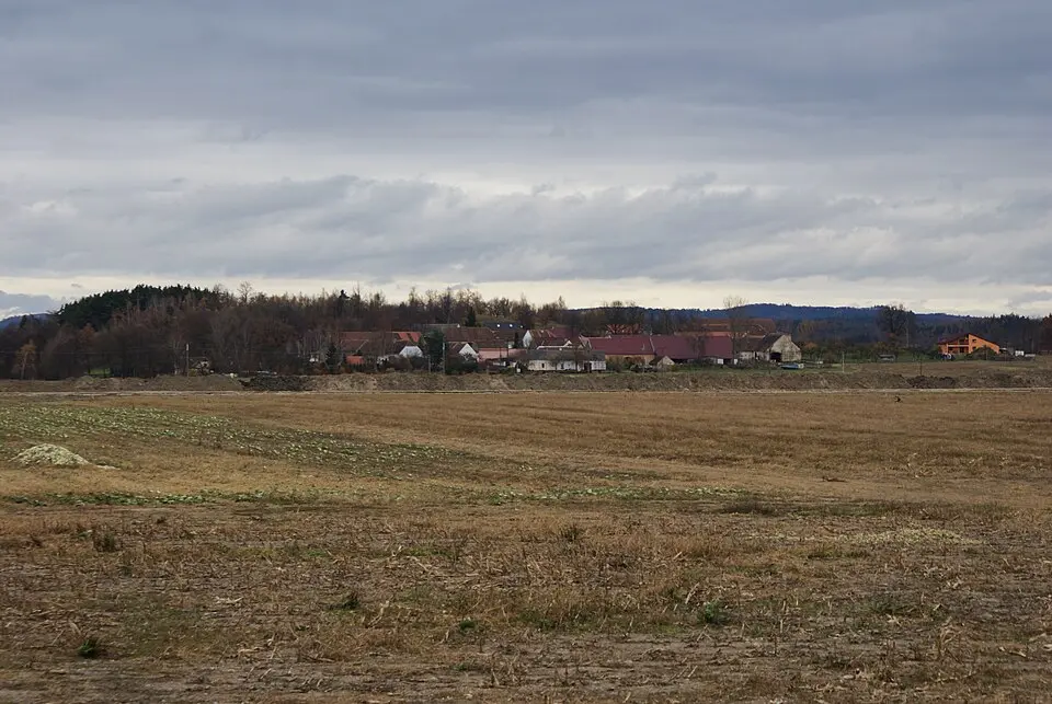 Čavyně