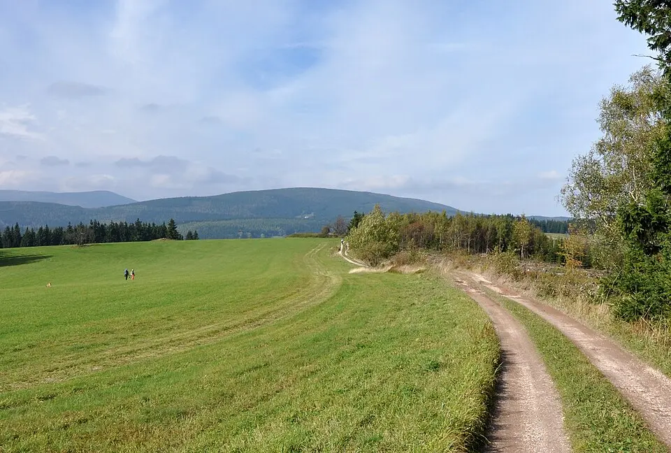 Čepel