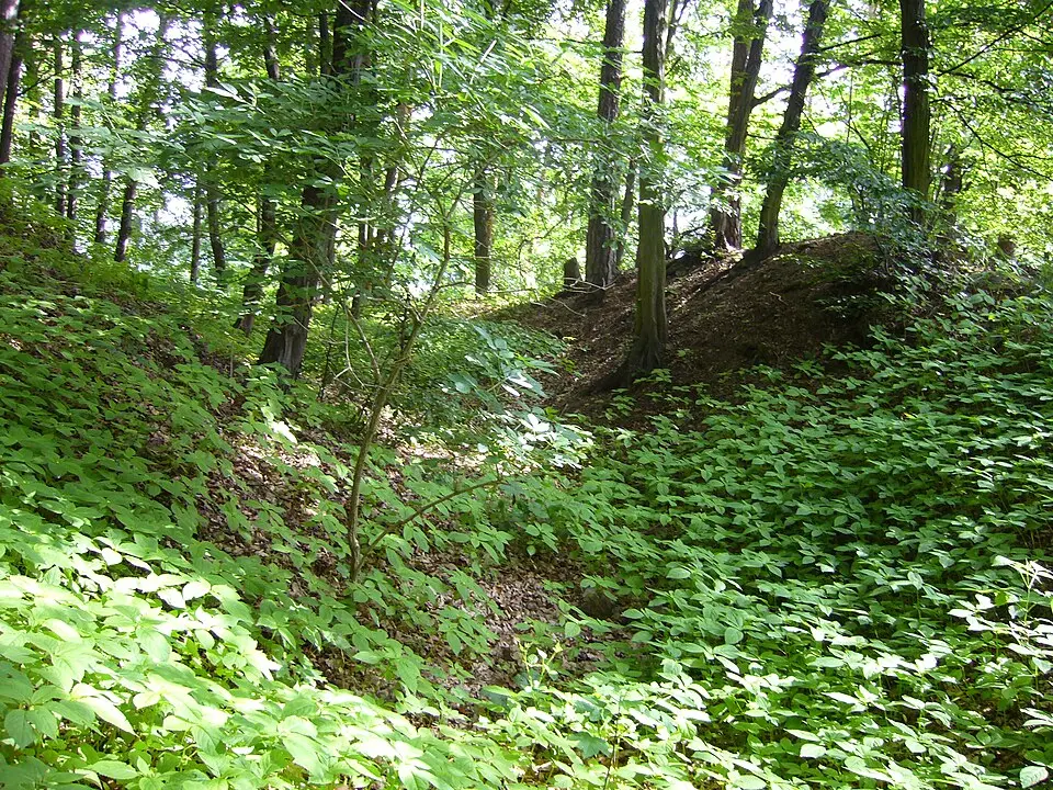 Čepička