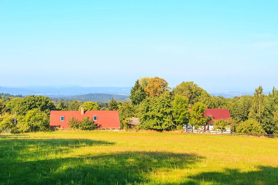 Černá