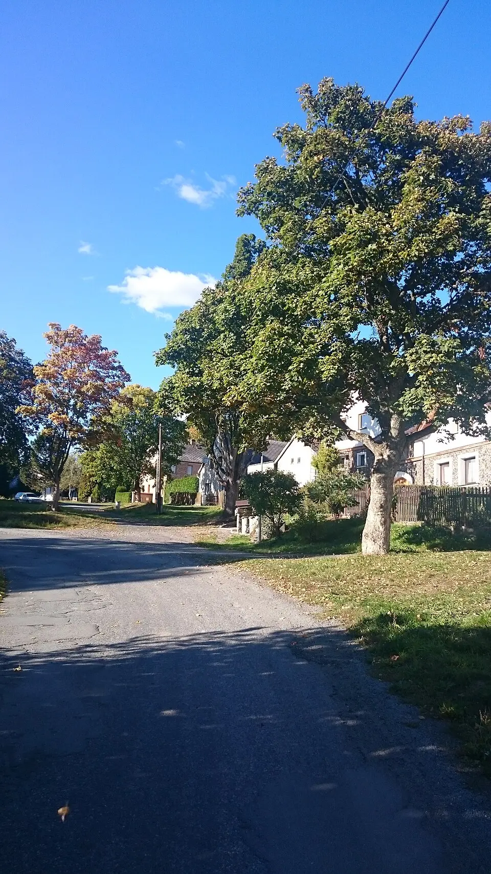 Čestětín