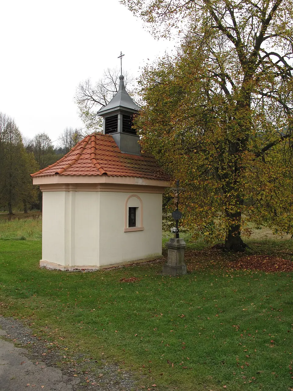 Čichořice