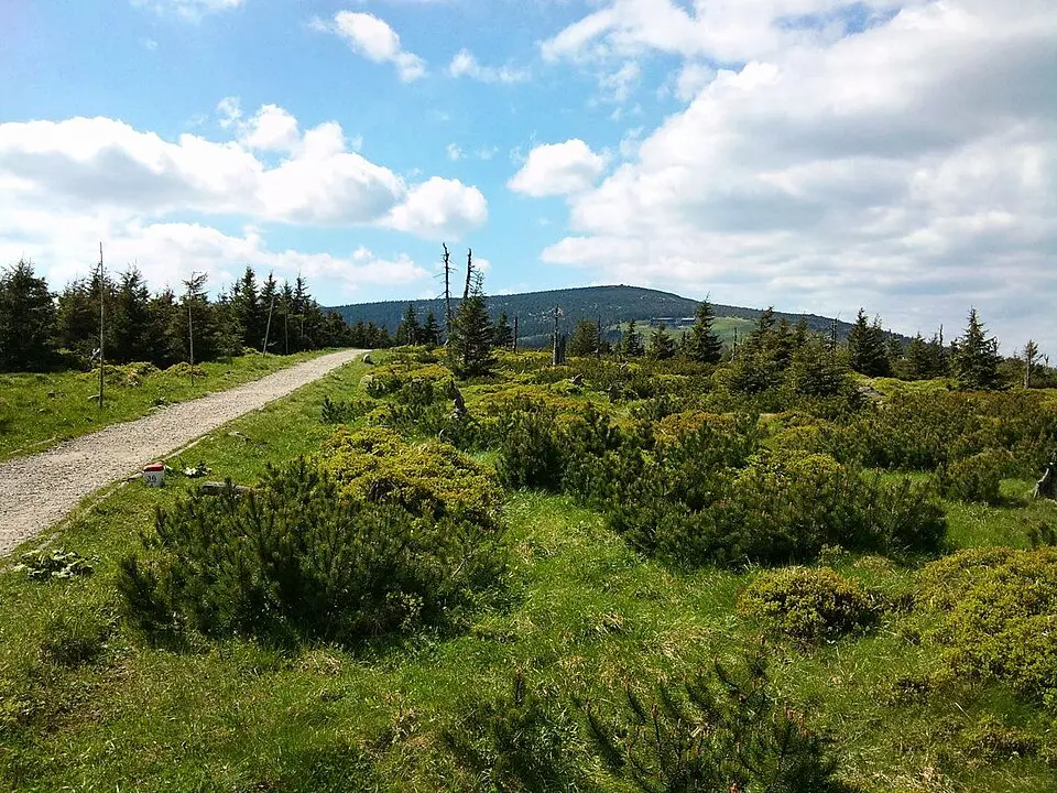 Krkonošský národný park