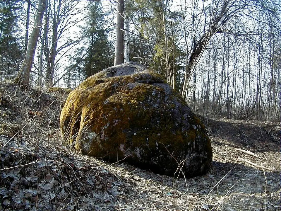 Sarkaņu pagasts
