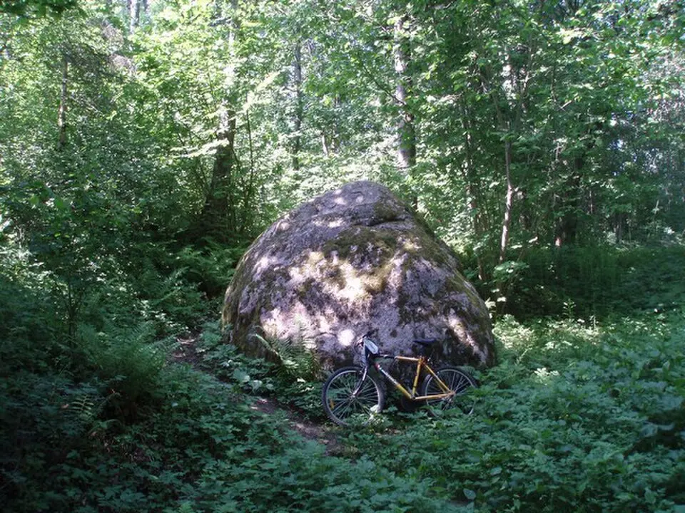Patkule