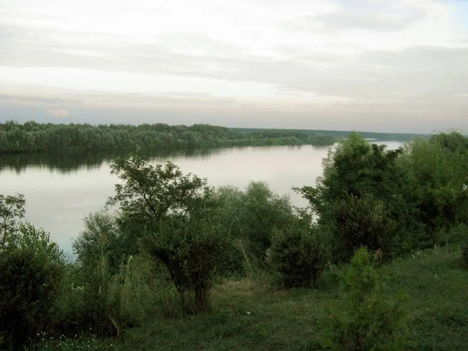 Лоеўскі раён