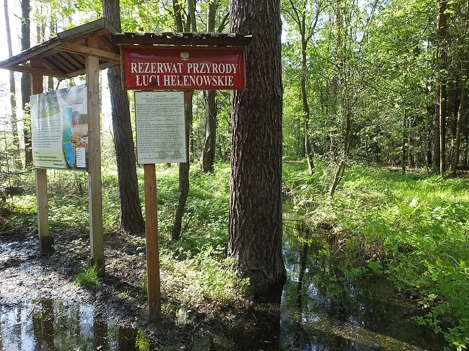 Rezerwat przyrody Ługi Helenowskie