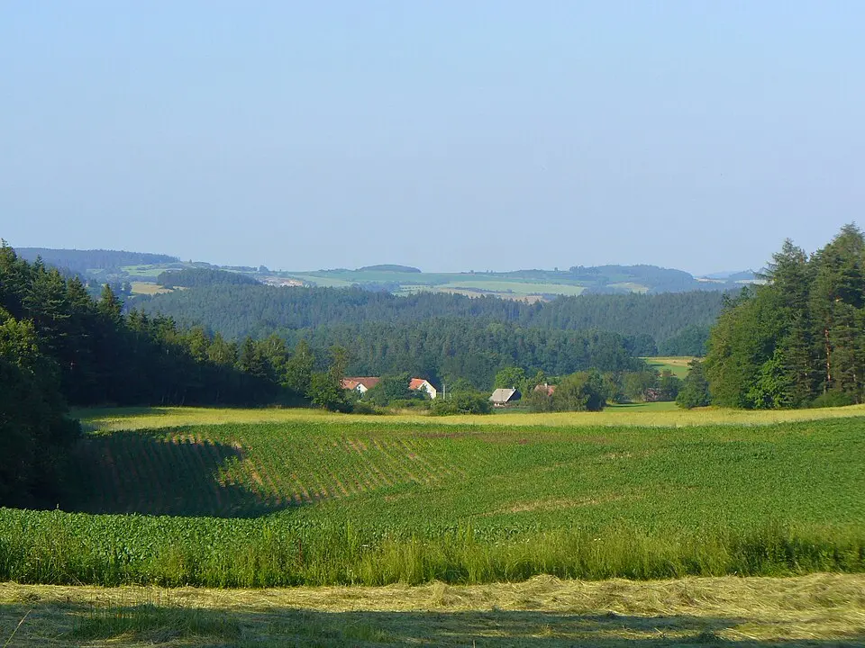 Řenkov