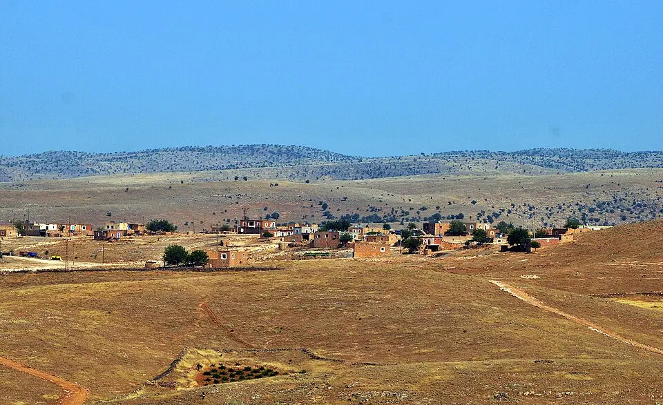 Şenocak