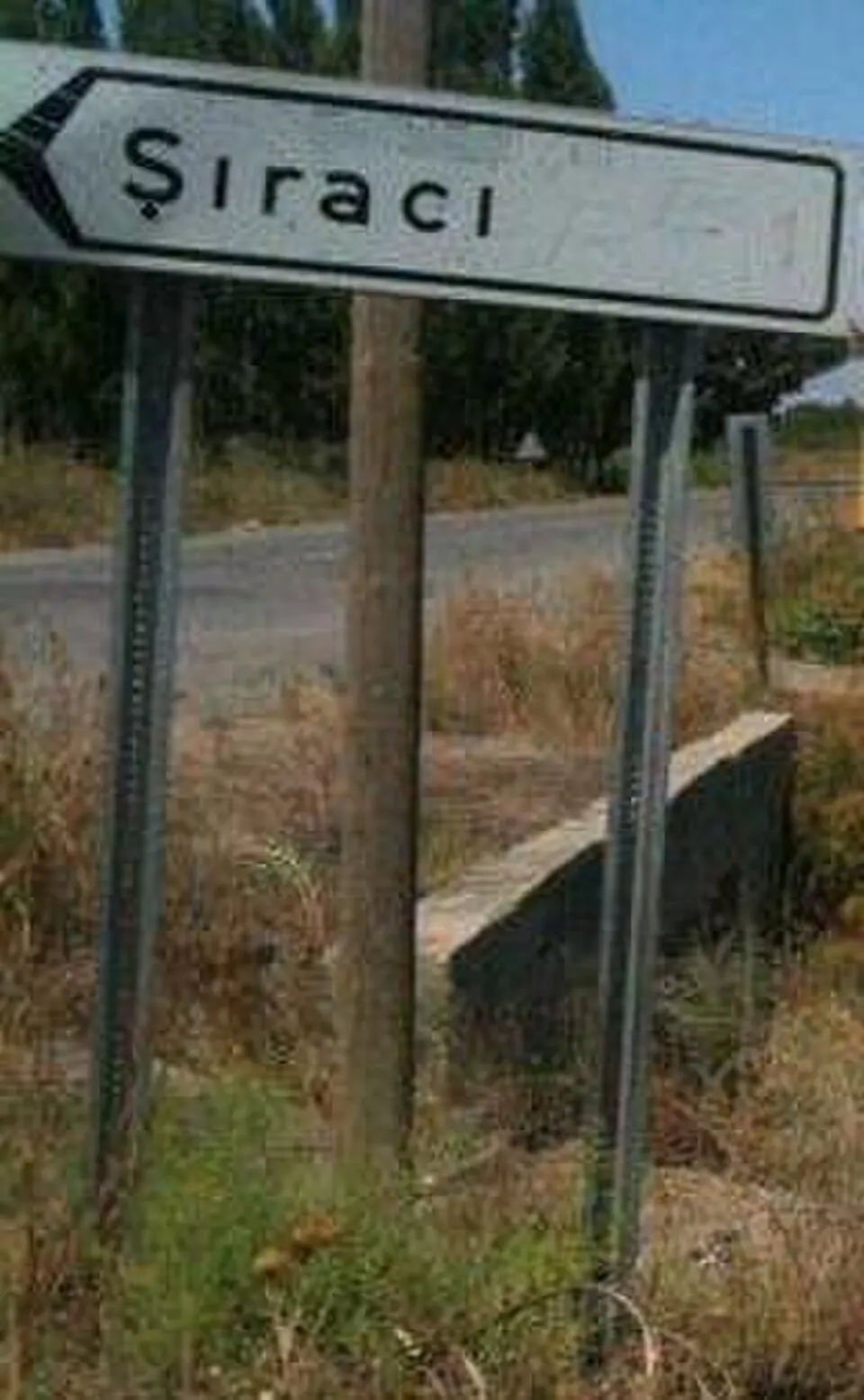 Şıracı