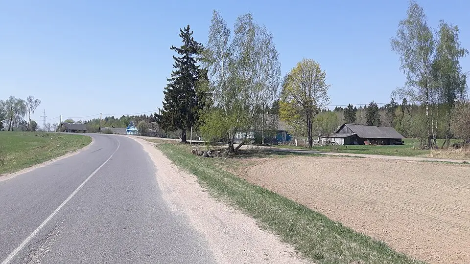 Šalyhi