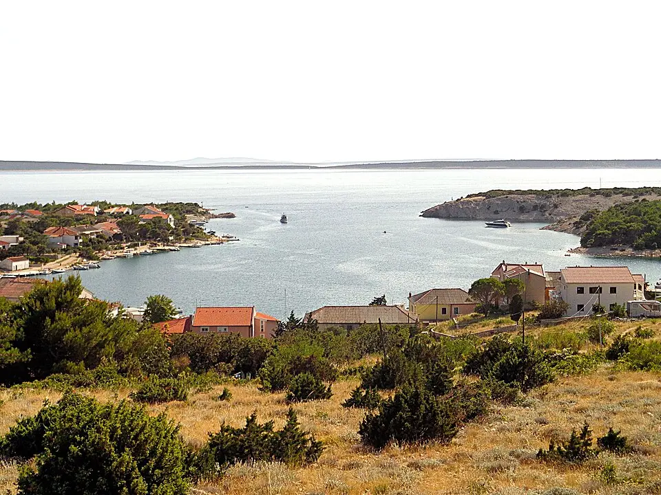 Šimuni