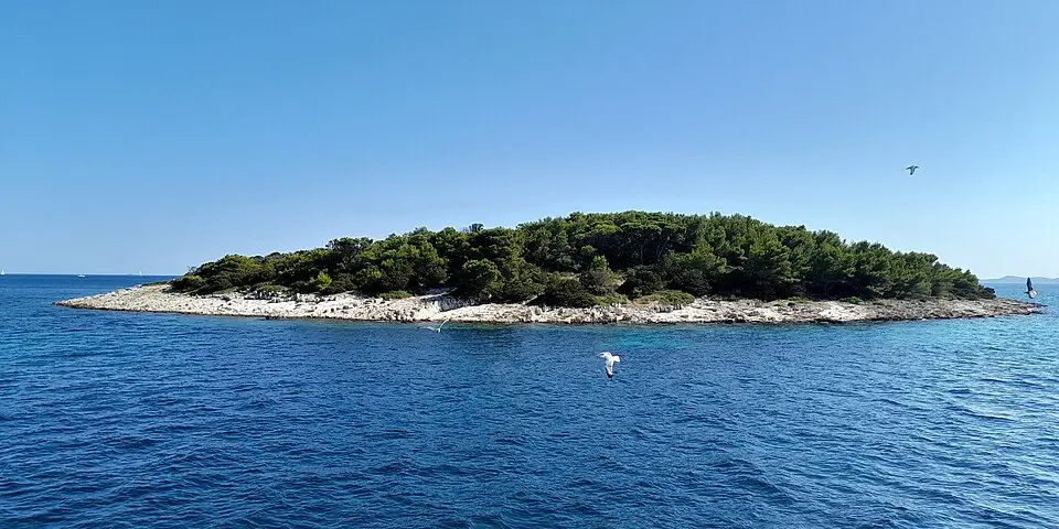 Sebinata