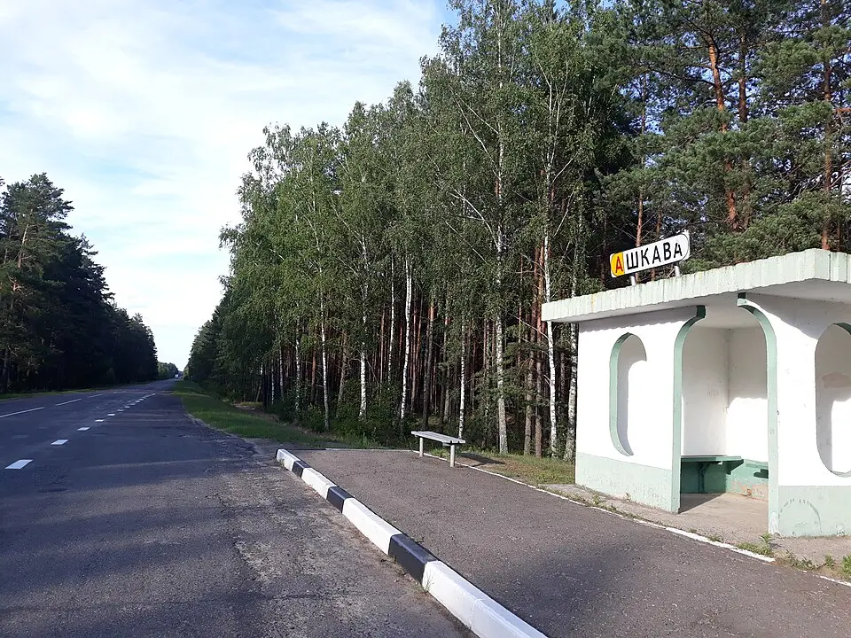 Škava