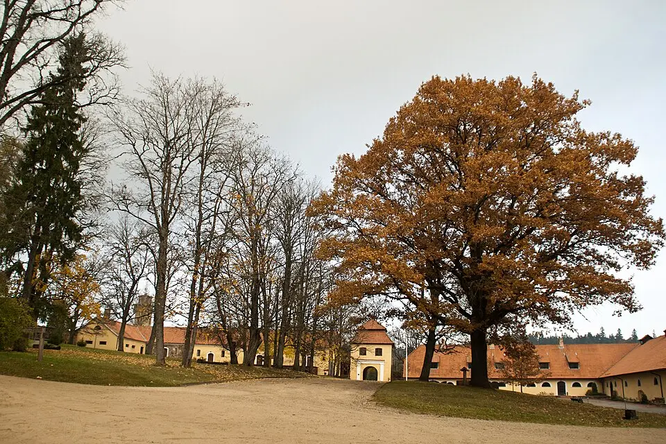 Milzkalne