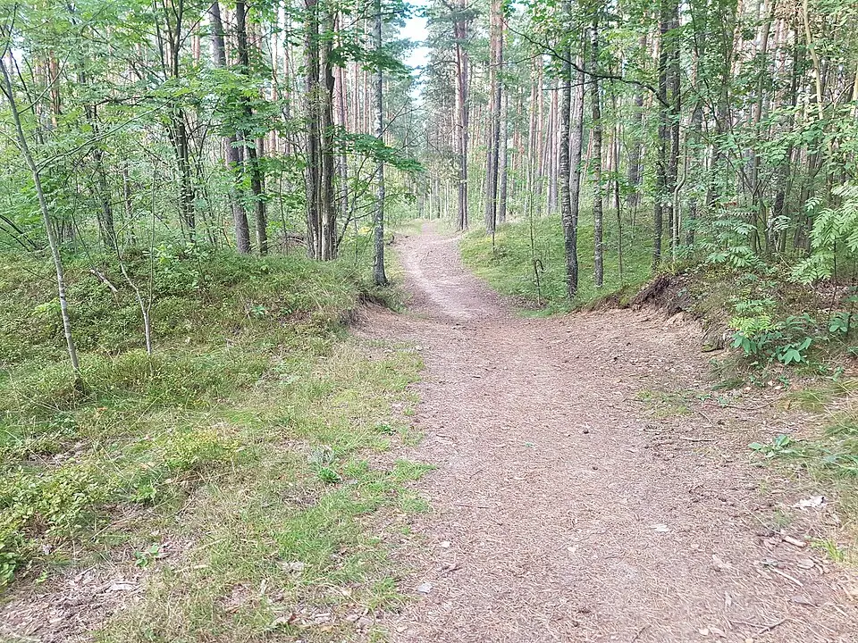 Šmerlis
