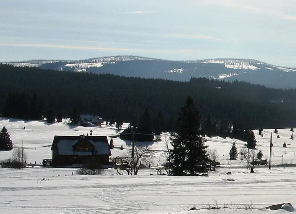 Špičník