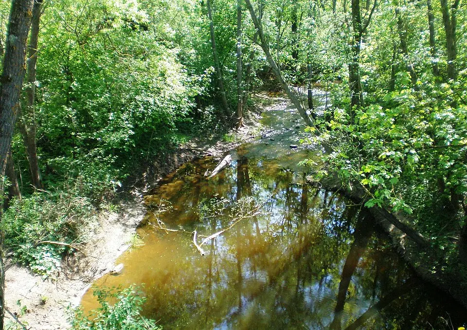Šumera