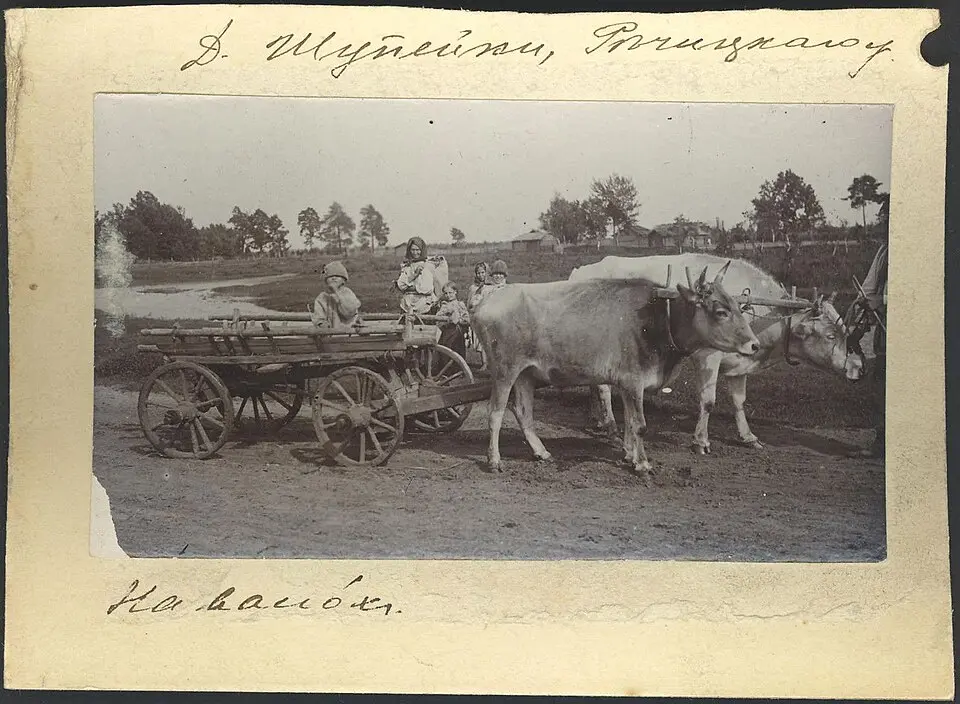 Шупейкі