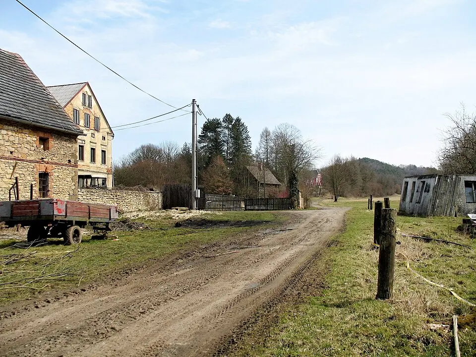Šváby