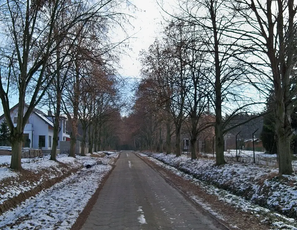 Żabieniec