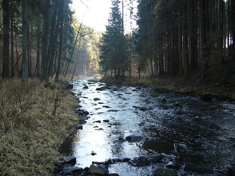 Žirovnice