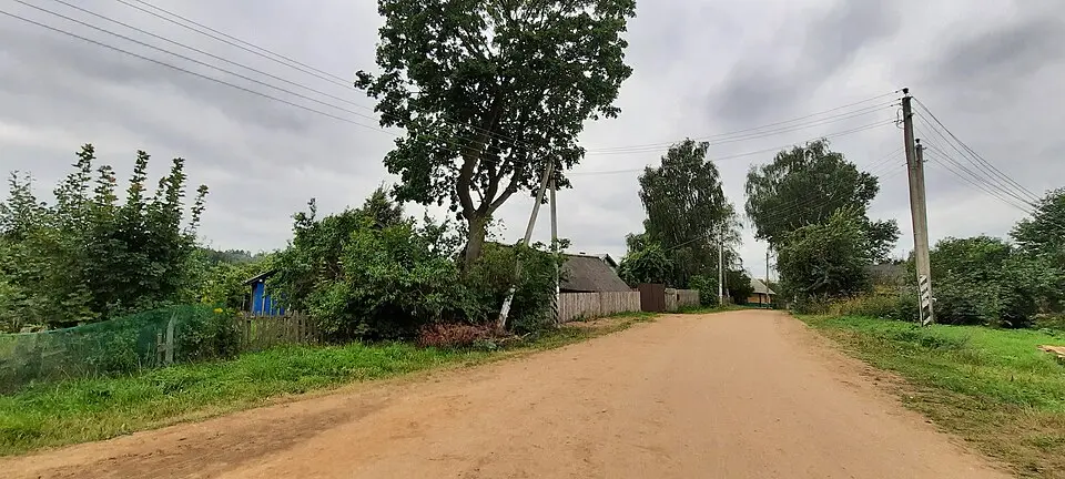 Žuki