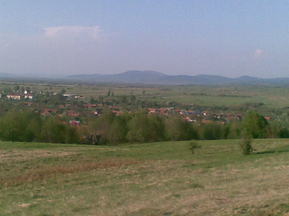 Șinca
