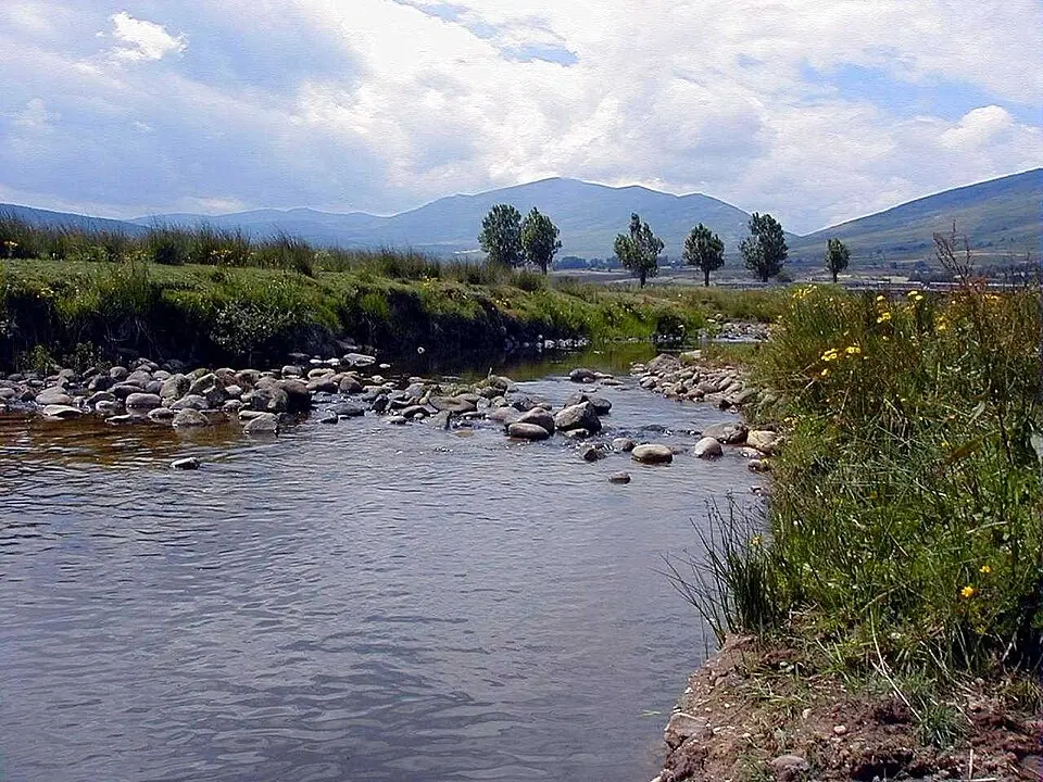 Camesa