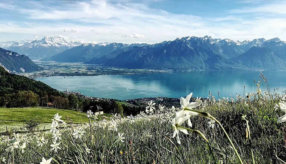 Obrázok: Maude Rion · CC BY-SA 4.0 Montreux