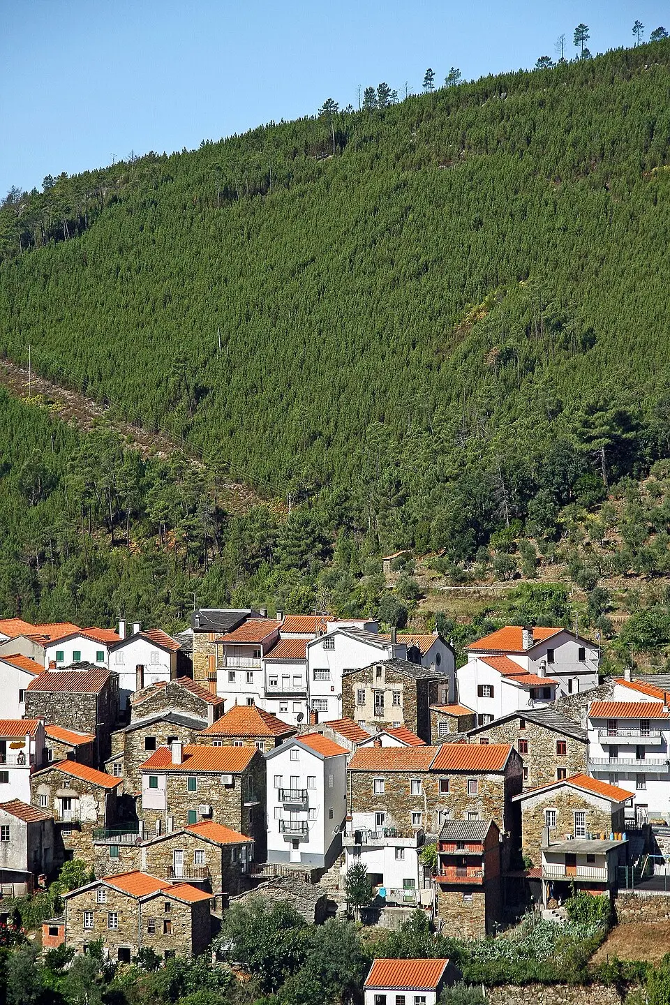Cabeça